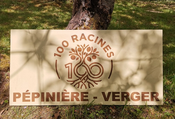 Atelier Bois et Bricolage